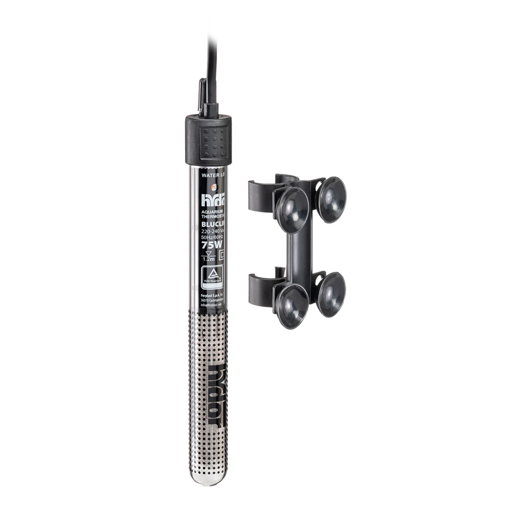 Imagen del producto 10