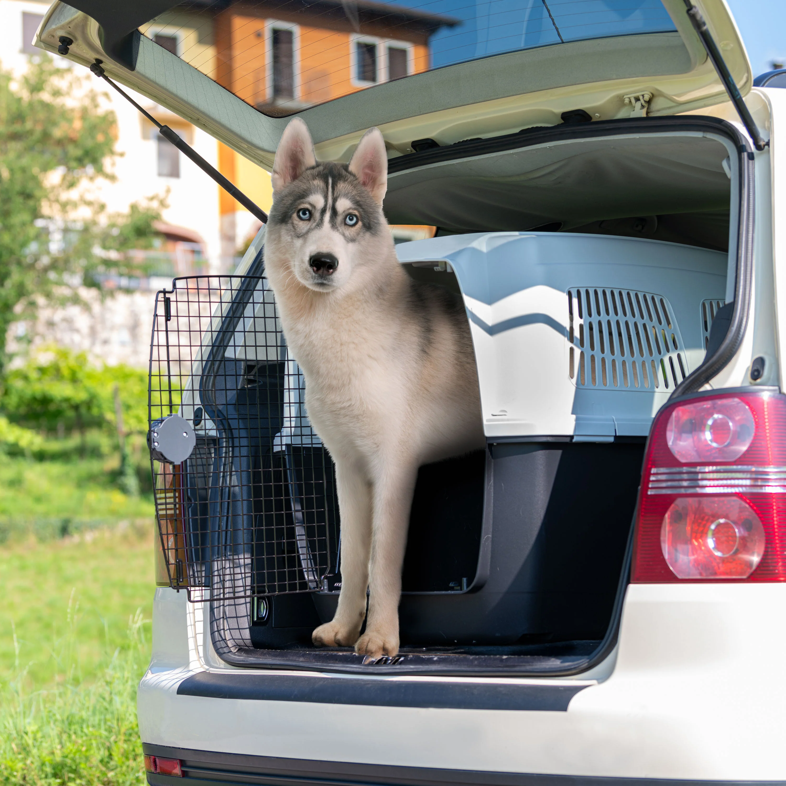 Imagen del producto 27