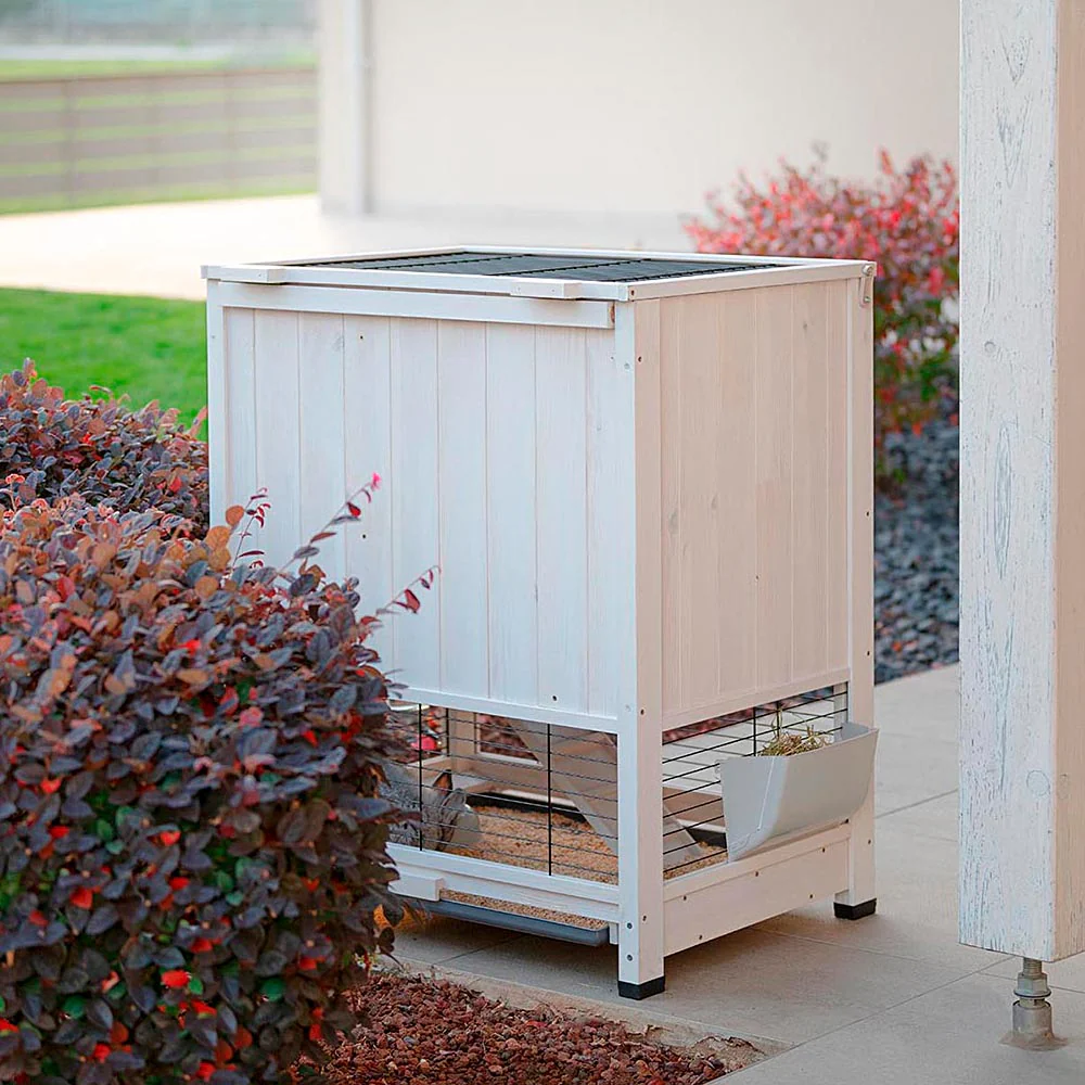 Imagen del producto 5