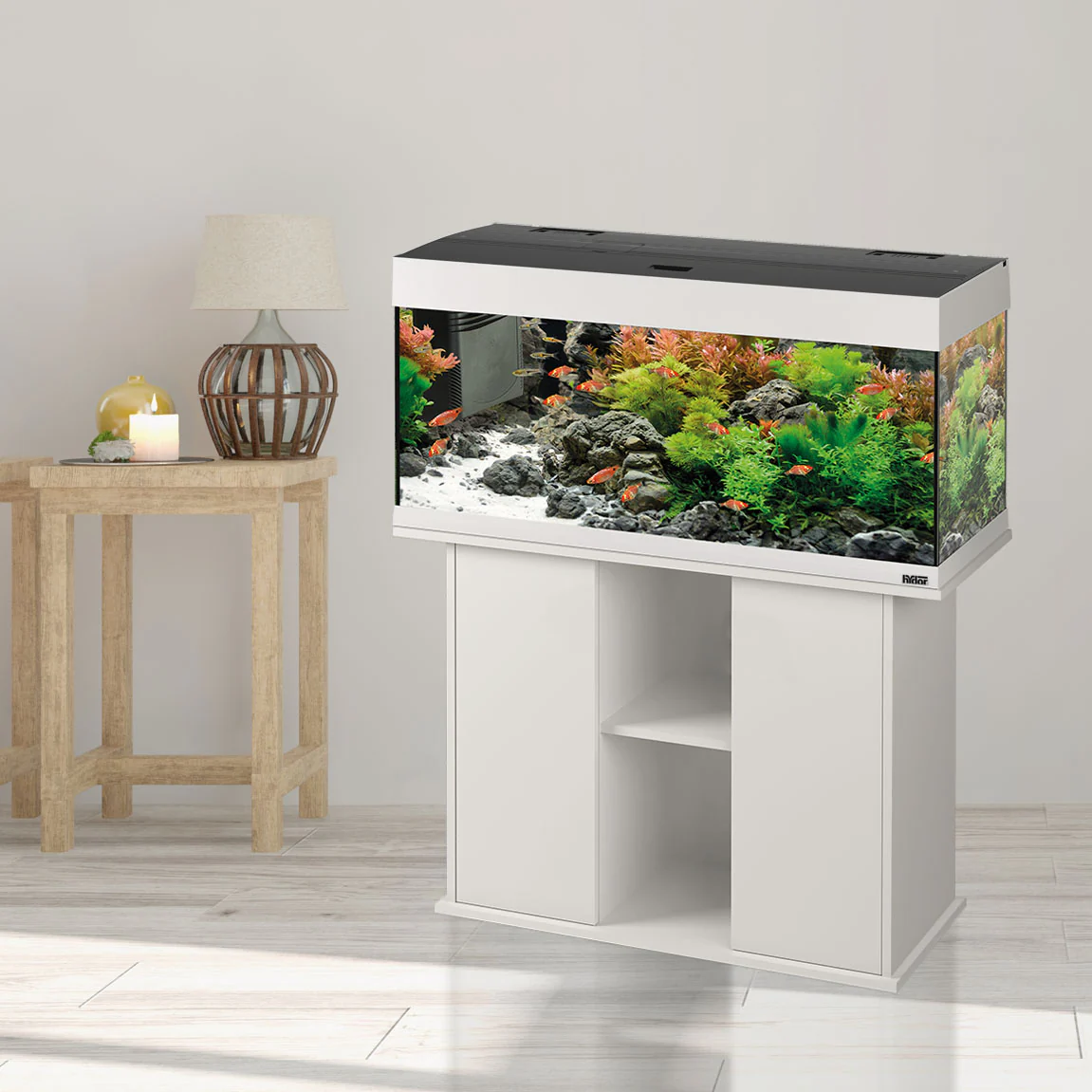 Imagen del producto 13