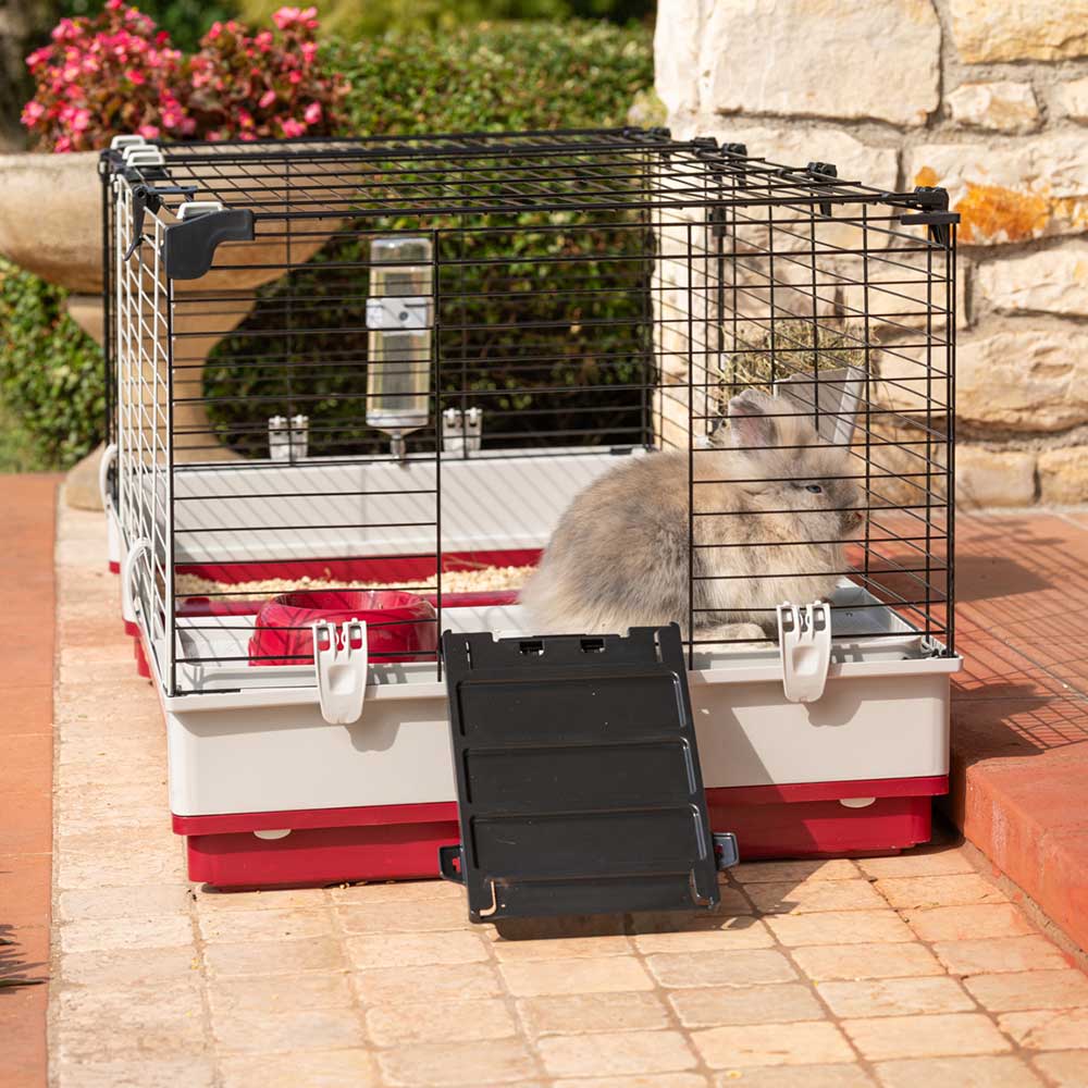 Imagen del producto 4