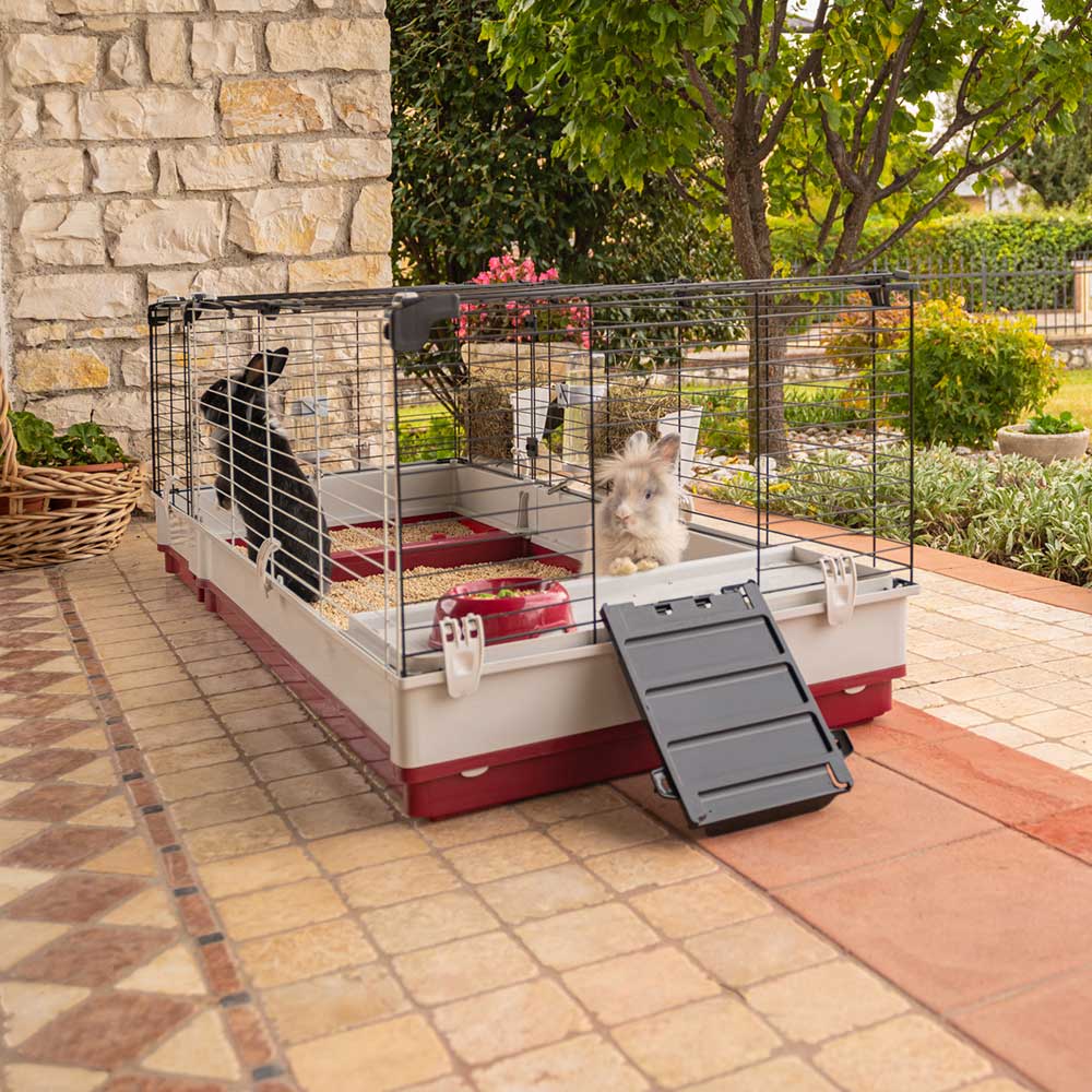 Imagen del producto 4