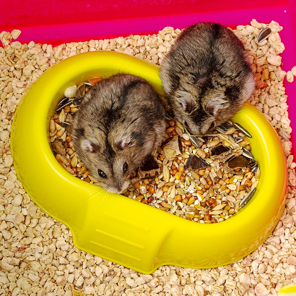 Imagen del producto 9