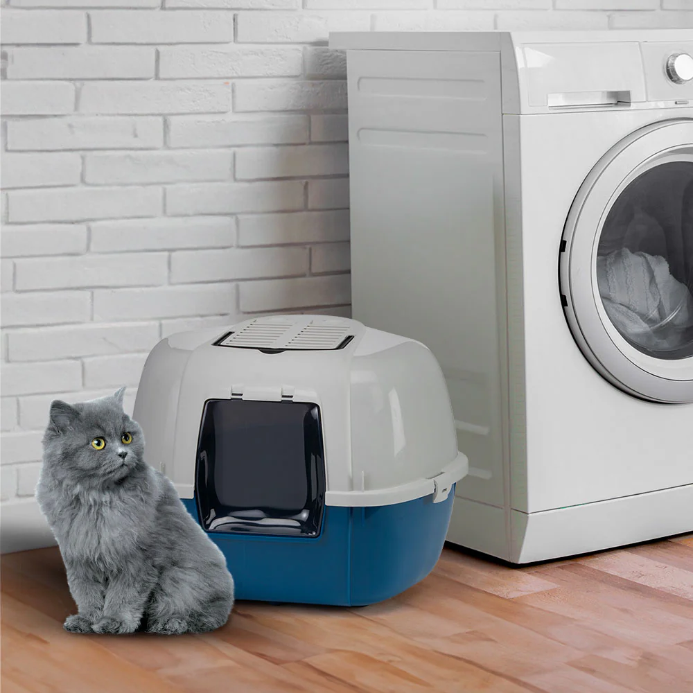 Imagen del producto 3