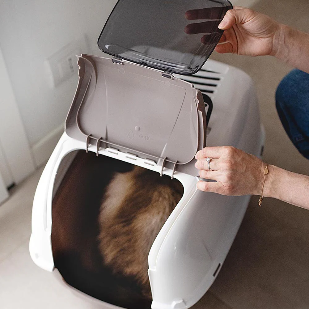 Imagen del producto 6