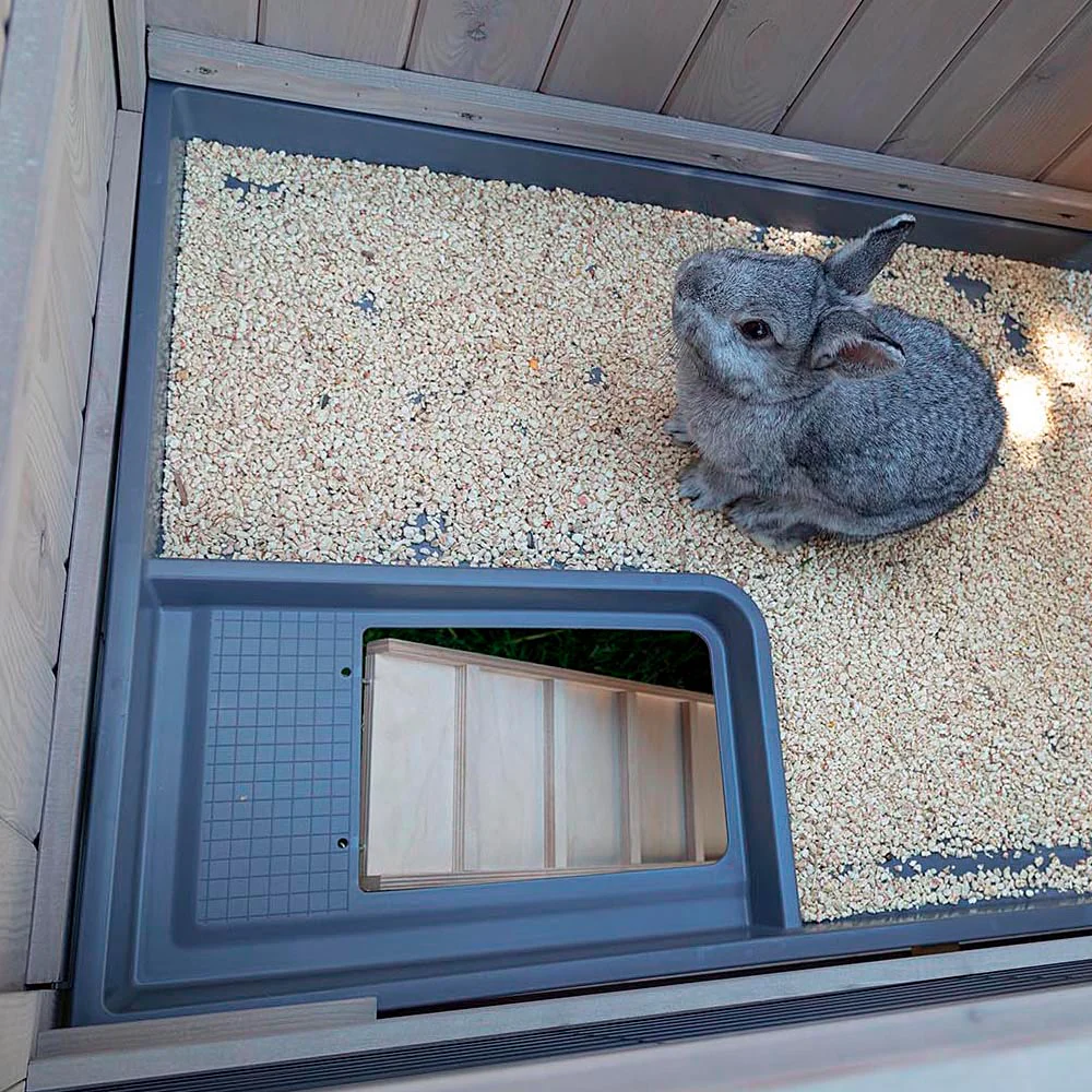 Imagen del producto 9