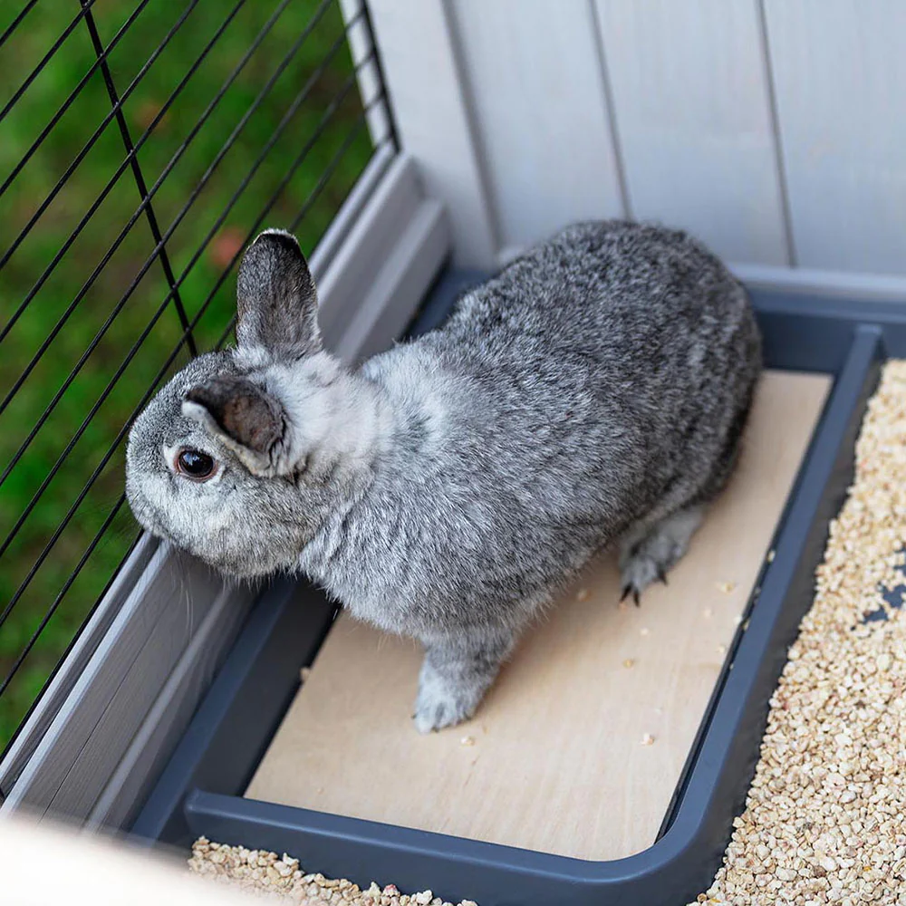 Imagen del producto 7