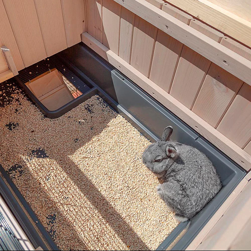 Imagen del producto 6