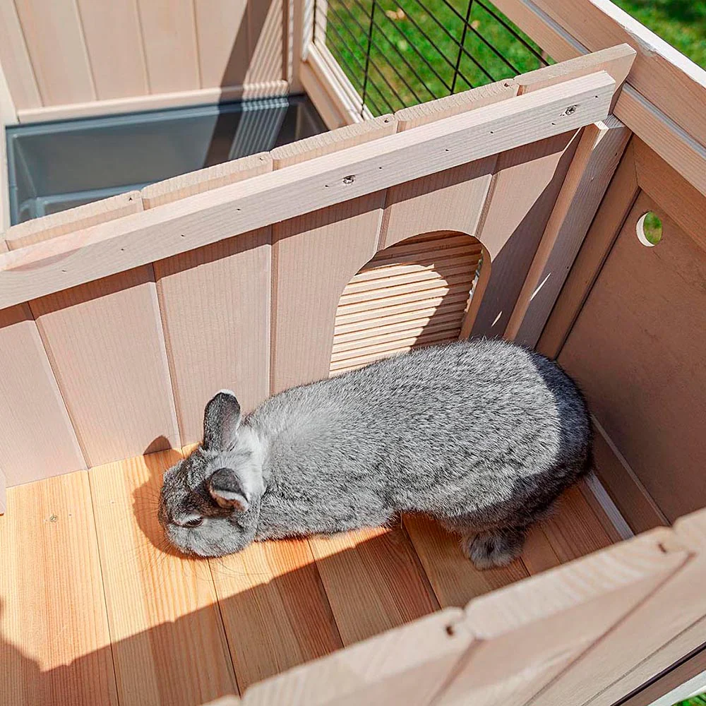 Imagen del producto 7