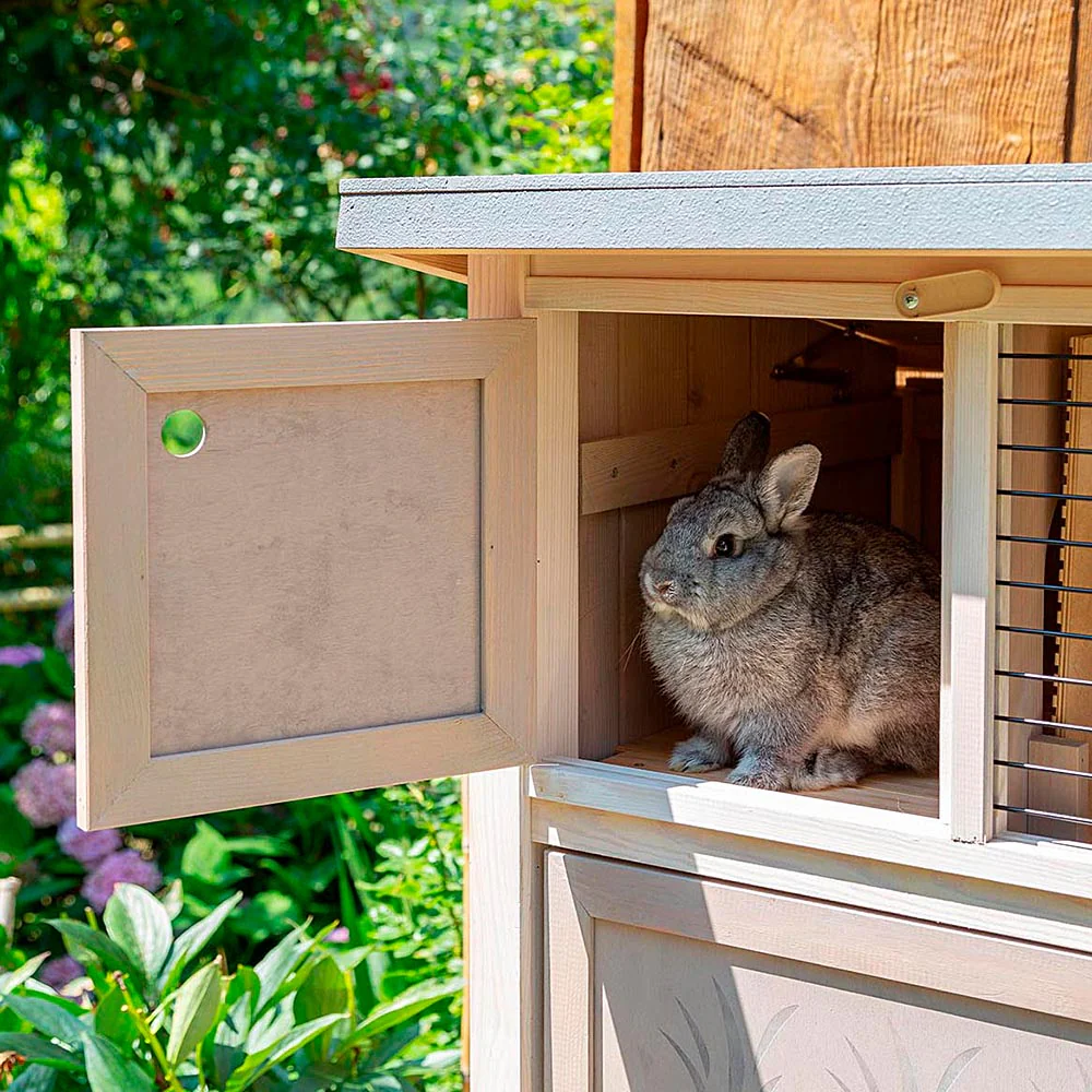 Imagen del producto 8