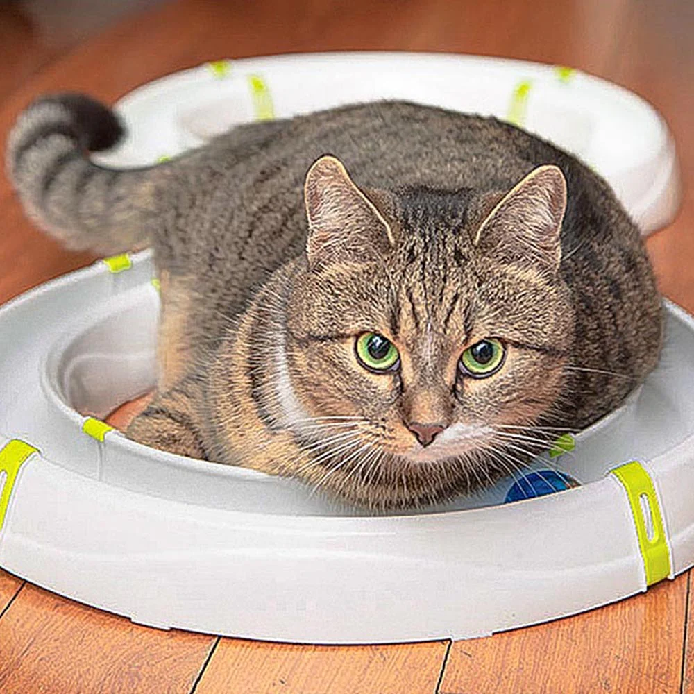 Imagen del producto 4